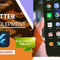 Flutter Developer
