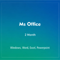 MS OFFICE