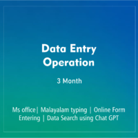 DATA ENTRY OPERATION