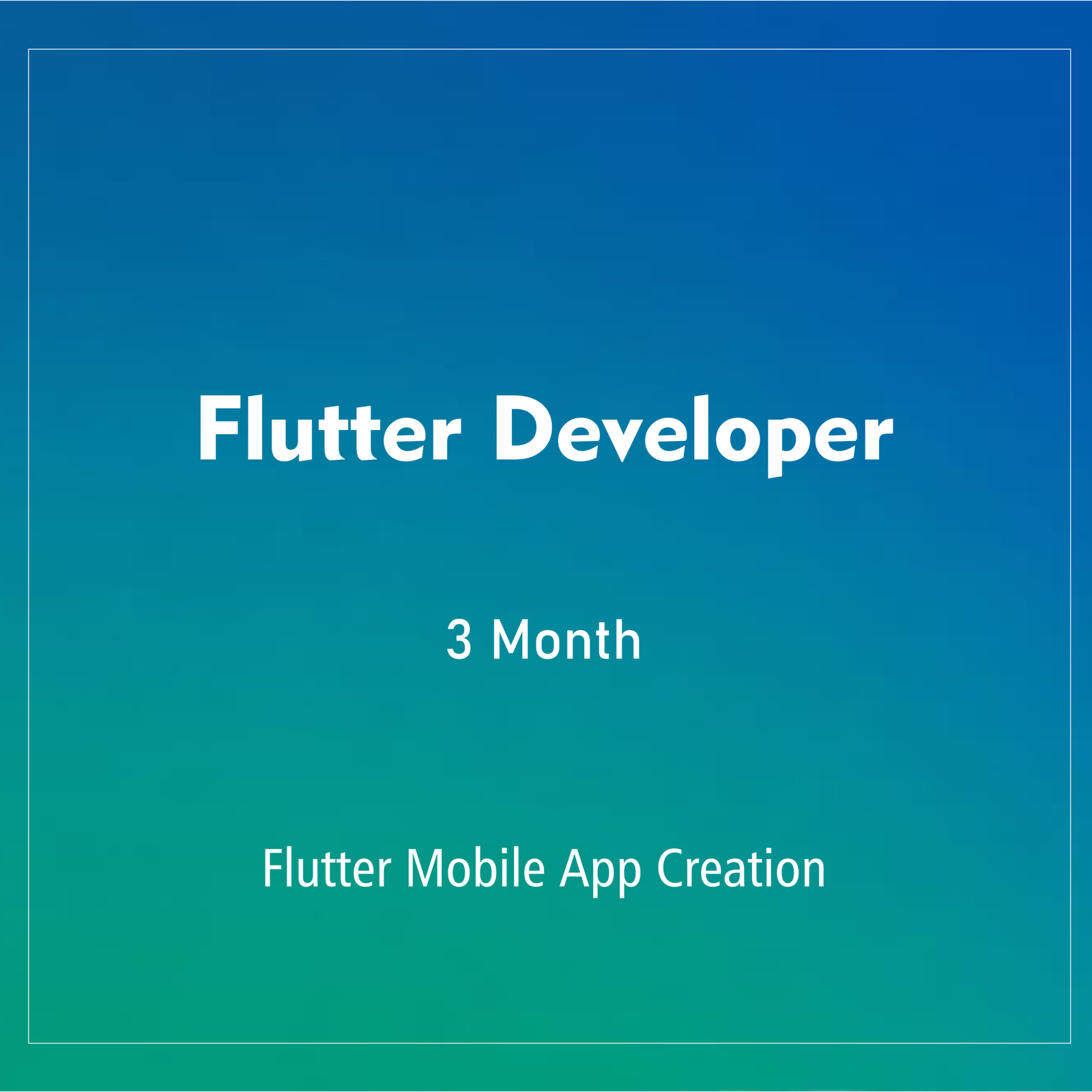 FLUTTER DEVELOPER