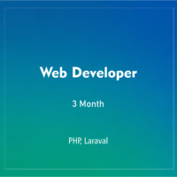 WEB DEVELOPER