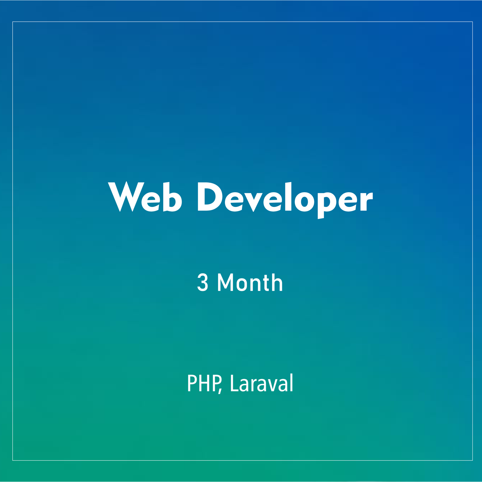 WEB DEVELOPER